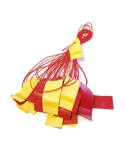 Sotkeutumaton lippusiima (5)